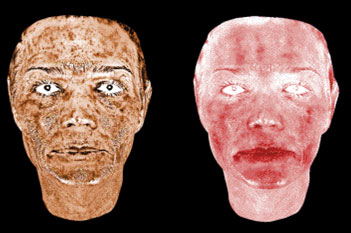 Quanitificate LifeViz 3D Results