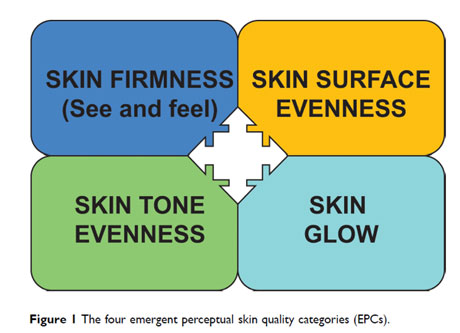 Four parameters of skin quality in aesthetics.
